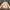 Betty Boop Y2K Trench coat Wanita cream photo 2