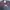 Hollister Casual Sweatshirt Pria navy photo 2