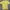 Vintage T-shirt Pria yellow photo 1