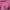 Mahagrid Casual Sweater Wanita pink photo 3