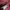 Mahagrid Casual Sweater Wanita pink photo 4