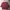 Uniqlo Casual T-shirt Wanita burgundy red photo 1