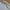 National Geographic Casual Sweater Pria gray photo 4