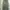 Vintage Y2K Casual pants Pria green photo 6