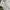 Uniqlo Gorpcore Sportswear Windbreaker Pria white photo 8
