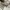 Uniqlo Gorpcore Sportswear Windbreaker Pria white photo 6