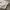 Uniqlo Gorpcore Sportswear Windbreaker Pria white photo 5