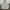 Uniqlo Gorpcore Sportswear Windbreaker Pria white photo 3