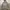 Uniqlo Y2K Sportswear Windbreaker Pria gray photo 2