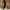 Indie Casual Sandals & slide Pria brown photo 6