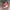 VANS Streetwear Skater Sneakers Wanita white red photo 4