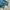 Blackyak Streetwear Sportswear Windbreaker Pria multicolor photo 6