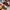 Nike Avant Garde Casual Casual shoe Pria red gray photo 4