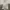 Blackyak Streetwear Sportswear Windbreaker Pria white photo 3