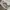 Blackyak Streetwear Sportswear Windbreaker Pria white photo 5
