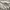 Blackyak Streetwear Sportswear Windbreaker Pria white photo 8
