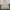 Blackyak Streetwear Sportswear Windbreaker Pria white photo 1