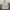 Blackyak Streetwear Sportswear Windbreaker Pria white photo 2