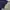 Be Forever U.G.I.Z Streetwear Sportswear Windbreaker Pria navy photo 7