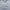 Adidas Sportswear Jersey Pria gray photo 4
