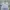 Adidas Sportswear Jersey Pria gray photo 3