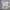 Adidas Sportswear Jersey Pria gray photo 1