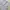 Russell Athletic Casual Sweatpants & Joggers Pria gray photo 2
