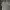 Lyle & Scott Luxury Casual Polo shirt Pria tan photo 1