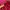 Sportswear Vest Wanita burgundy red photo 5