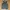 Ben Davis Vintage Vest Pria gray photo 1
