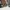 Sportswear Casual Casual shoe Pria brown photo 6