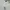 Grooverhyme Casual Sweater Pria cream photo 2