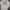 Grooverhyme Casual Sweater Pria cream photo 5