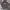 Dickies Casual Hoody Pria gray photo 3