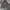 Dickies Casual Hoody Pria gray photo 1