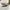Nike Vintage Sportswear Sweatshirt Pria white photo 5