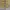 Streetwear Casual Casual pants Pria gold khaki photo 3
