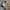 Streetwear Casual Casual pants Pria cream photo 5