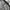 Alpha Industries Biker Casual Bomber jacket Pria black photo 4
