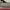 Nike Air Jordan Casual Sneakers Pria white gray photo 4