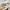 Japanese brand Streetwear Casual Bomber jacket Pria white photo 3