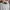 Japanese brand Coquette Sweatshirt Wanita multicolor photo 2