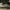 Nike Y2K Sportswear Sneakers Pria black gray photo 3