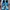 Adidas Sportswear Pria Blue