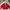 Casual Kimono Pria red photo 1