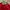 Casual Kimono Pria red photo 7