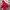 Japanese brand Gorpcore Parka Pria red photo 8