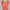 Fairy Coquette Blouse Wanita multicolor photo 1