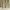 Vintage Luxury Cardigan Wanita khaki cream photo 3