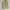 Vintage Luxury Cardigan Wanita khaki cream photo 1